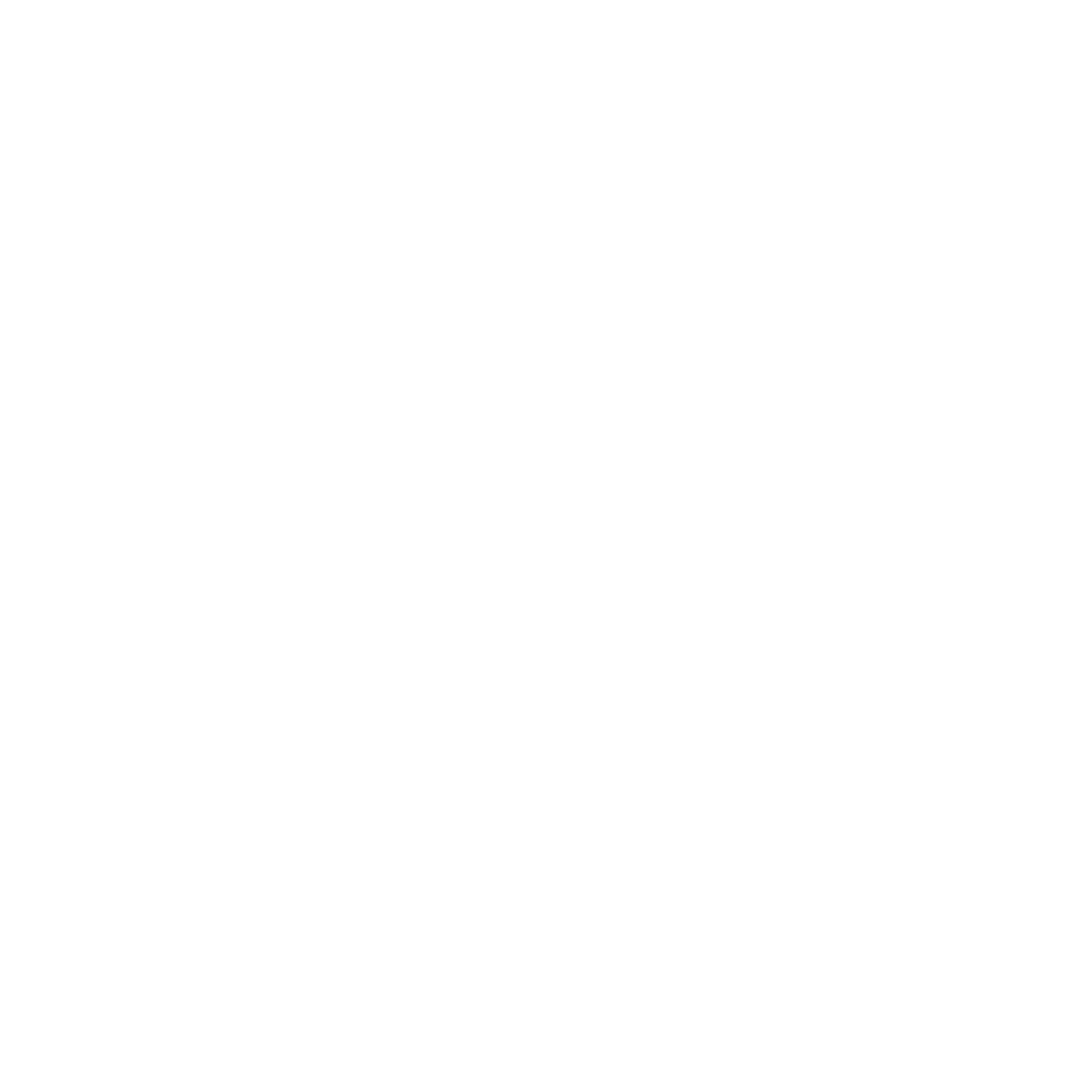 Traffic Camera Icon