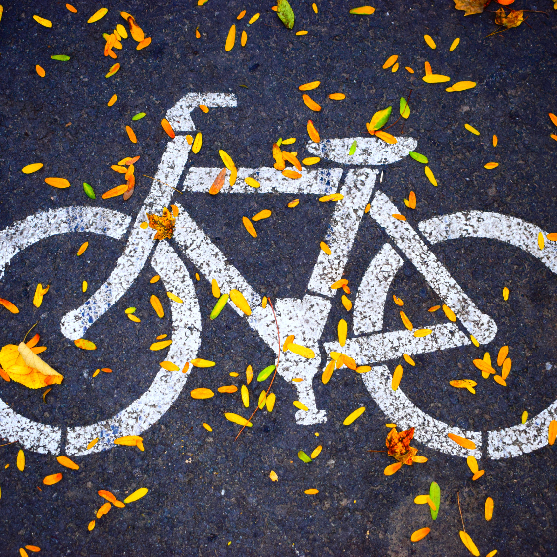 Bike symbols and leaves