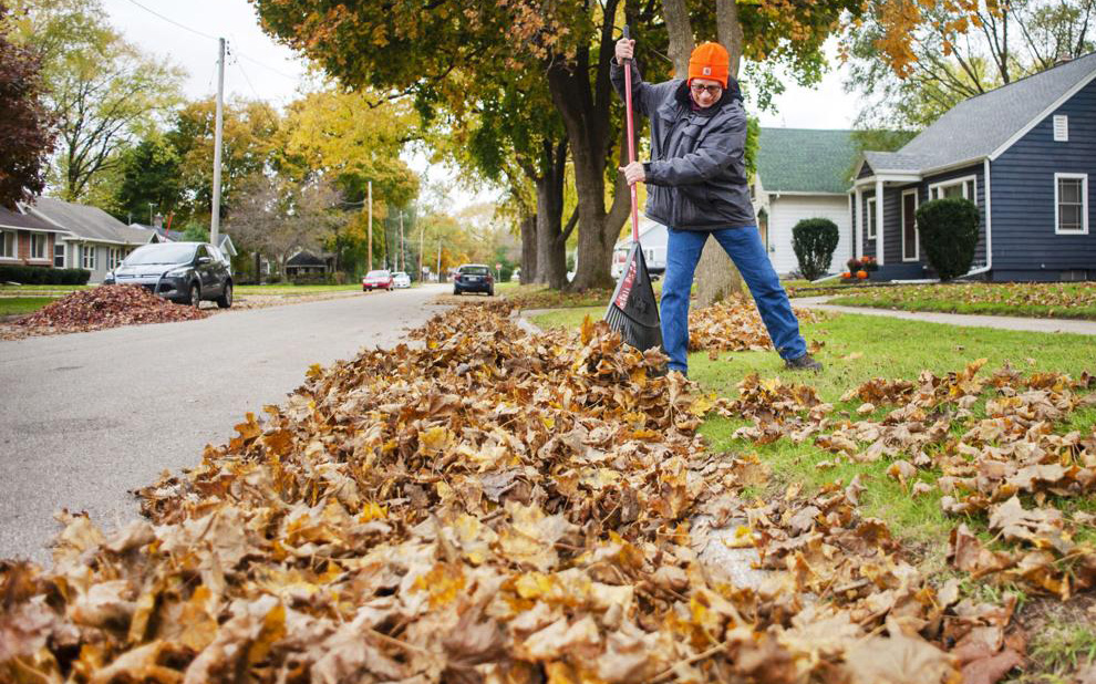 Leaves in yard